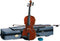 Stentor Viool SR1550 Conservatoire I (Vioolset) - 4/4