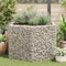 vidaXL - Gabion - plantenbak - verhoogd - zeshoekig - 160x140x100 - cm