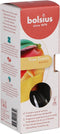 Bolsius Geurstokjes True Scents Mango 45 ml