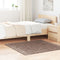 vidaXL - Shaggy - Vloerkleed - Hoge - Pool - Bruin - 120x120 - cm - PP