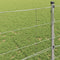 vidaXL - Veldhek - 0,8x100 - m - Gegalvaniseerd - Staal