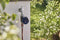 GARDENA smart Water Control - Besproeiingscomputer - Datagestuurde bewatering - Compatibel met smart home systemen
