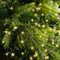 Lumineo - Compacte kerstverlichting - 750 LEDs - 16m Soft Gold (2700K) - IP44 voor buitengebruik
