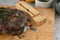 Meater Plus - Slimme, draadloze vleesthermometer (50m)