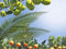 Mediterrane potgrond aarde 40 liter
