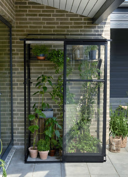 Royal Well - Muurkas Qube Lean-to 24 Halls Greenhouses Royal Well