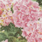 Thea Gouverneur - Borduurpakket met telpatroon - 2047 - Voorgesorteerde DMC Garens - Roze Hortensia - Linnen - 44 cm x 39 cm - DIY Kit