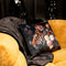 Melli Mello Luxe Plaid 130x170cm - Printed- Luxe Fleecedeken: Plaid voor Stijlvolle Decoratie- Flanel Fleece Plaid voor Bank, Bed en Decoratie - Extra Zacht en Comfortabel - Paisley World