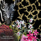 Melli Mello - Zebra - Wall Circle - Ø50 cm - Muurcirkel - Wanddecoratie - Dibond - Voor Binnen & Buiten - Woonaccessoire - Kunst - Schilderij