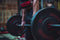 Men's Health Bumper Plates 10 kg - Crossfit - Oefeningen - Fitness gemakkelijk thuis - Fitnessaccessoire