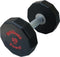 Men's Health Urethane Dumbbell 10 kg - Crossfit - Oefeningen - Fitness gemakkelijk thuis - Fitnessaccessoire
