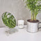 Meraki geurkaars fresh cotton groot