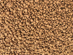 Merkloos Budget Premium Catfood Quality Kitten