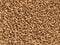 Merkloos Budget Premium Catfood Quality Kitten