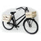 Transport krat B1 Blanco