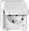 Merten 4074943 AquaStar Compleet Wandcontactdoos met randaarde en klapdeksel spatwaterdicht Polar-wit 1-voudig