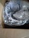 Schouwkop Verlenging Zilver 31 x 31 x 50 cm Roestvrij staal