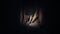 THQ Nordic REANIMAL - Collector's Edition - PS5 - Co-op horror avontuur (18+)