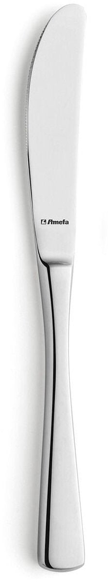 Messen Set Amefa Atlantic Metaal Roestvrij staal 12 Stuks