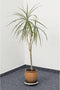Metafranc WU0822030 Transportroller Laadvermogen (max.): 100 kg 200 mm x 52 mm Aantal rollers 3