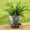 Metafranc WU0825130 Transportroller Houtcomposiet (WPC) Laadvermogen (max.): 60 kg 300 mm x 73 mm Aantal rollers 4