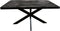 Meubelplaats Eettafel Straight Black Spider Zwart Mangohout 140x80 - Industriële Stijl