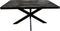 Meubelplaats Eettafel Straight Black Spider Zwart Mangohout 180x80 - Industriële Stijl