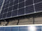 Meuwissen Agro Dakgootegel 15 x 400 cm voor de dakgoot - Bladborstel tegen bladeren