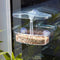 Meuwissen Agro Vogel voederhuisje - Smart serie - doorzichtig - zuignappen - raam - 21 x 13 x 10 cm