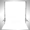 vidaXL - Fotostudioset - met - verlichtingsset - en - achtergrond