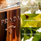 Prada - La Femme Intense - Eau De Parfum - 35ML