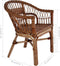 vidaXL - Tuinstoel - natuurlijk - rattan - bruin