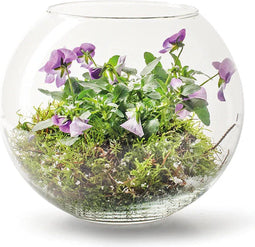 Bolvaas 'rondo' h17 d20 cm