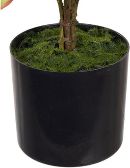 Decoratieve plant 36 x 30 x 44 cm Crème Pioenroos