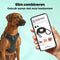 Jake and Jacky Hondentuigje - Anti-Trek Tuig - Y Tuig Hond - Reflecterend - Blauw - Maat L