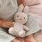 Nijntje x Little Dutch - All-Over Knuffel - 15 cm - Blossom