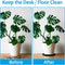 TStarJungle T002-Saucers-Black - Plantenschotels 24 cm - 5-pack (5 stuks)