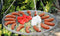 Driepoot 180 cm met RVS grillrooster | ⌀50cm