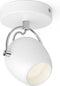 Philips myLiving Rivano - Opbouwspot 1 Lichtpunt - LED - Wit
