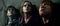 Harry Potter - Complete 8 Film Collection (DVD)