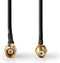 Nedis SMA Antennekabel - SMA Male - SMA Female - Verguld - 50 Ohm - 3 m - Zwart