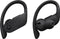 Beats Powerbeats Pro - Draadloze Oortjes - Zweet- en waterbestendig - Zwart