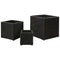 vidaXL - Plantenbakken - verhoogd - 3 - st - poly - rattan - zwart