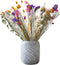 Plant in a Box - Boeket 'Patrice' - Droogbloemen - hoogte 55cm