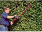 Einhell Elektrische Heggenschaar GC-EH 6055/1 - 600 W - Snoeilengte: 55 cm - Tandafstand: 26 mm