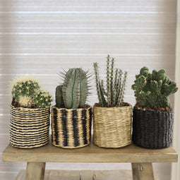 Mica Decorations - 1 Bloempotje - Rieten Plantenmand / Plantenzak - Ø10 h.9 cm