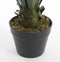 Mica Decorations Agave Kunstplant - H60 x Ø50 cm - Groen