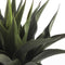 Mica Decorations Agave Kunstplant - H60 x Ø50 cm - Groen