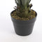 Mica Decorations Agave Kunstplant - H60 x Ø50 cm - Groen