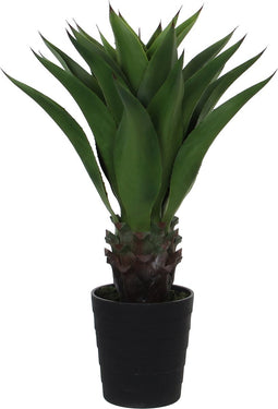 Mica Decorations Agave Kunstplant - H80 x Ø80 cm - Groen